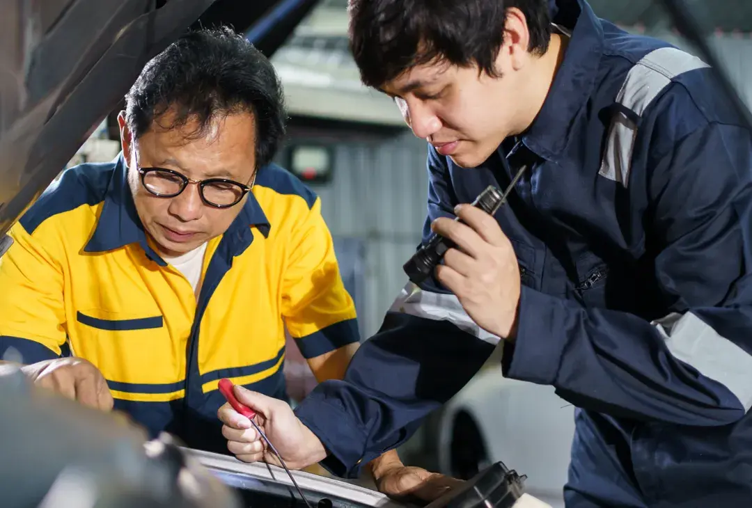 Explore Career Paths with an Apprenticeship or Traineeship