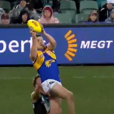 cameo in AFL